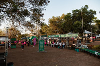 Corrida Unimed Alta Mogiana