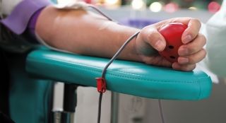 Junho Vermelho: mês da doação de sangue