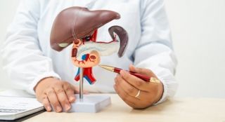 Entenda as hepatites